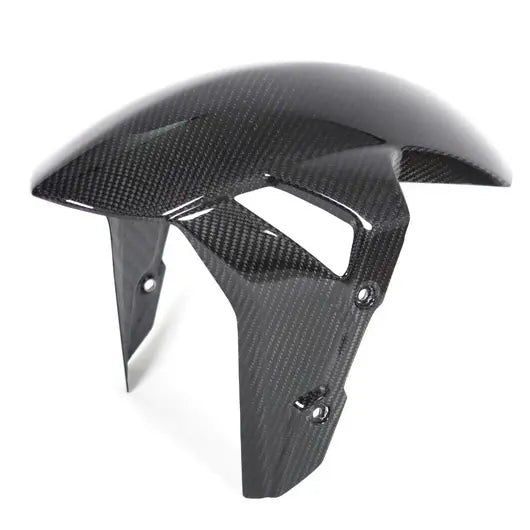 ILMBERGER Carbon Kotflügel | BMW M1000R