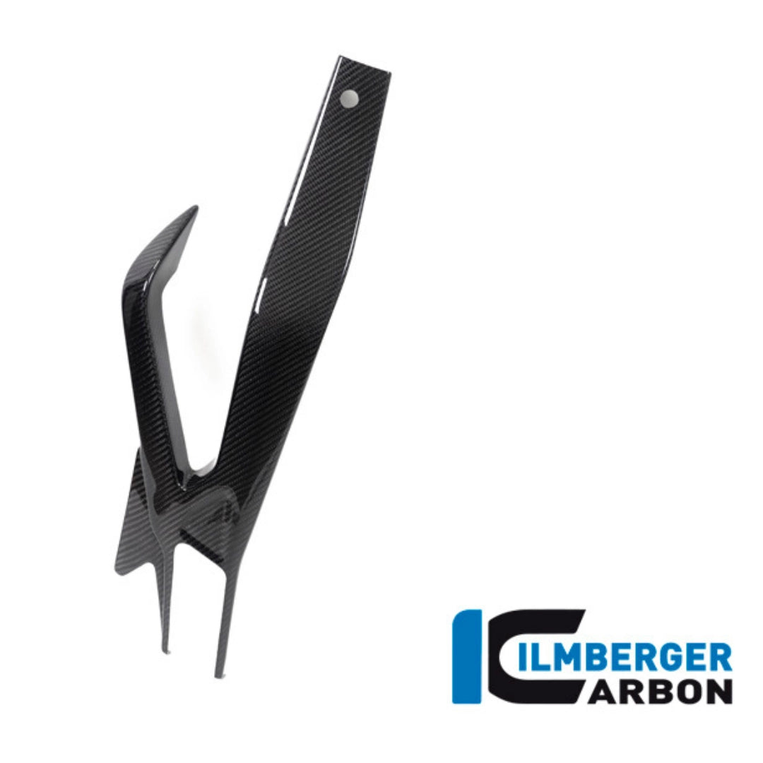 Protection de Bras Oscillant Gauche en Carbone ILMBERGER | BMW M 1000 R (2025+)