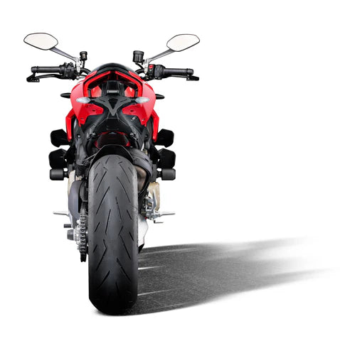 EVOTECH swingarm guards | DUCATI STREETFIGHTER V4