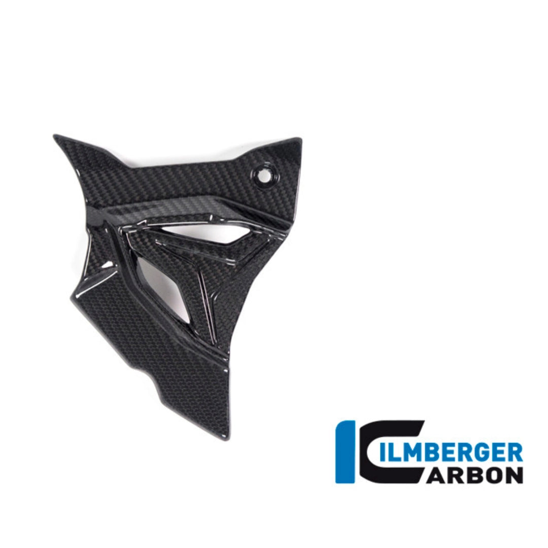 Cache Pignon en Carbone ILMBERGER | BMW M 1000 R (2025+)