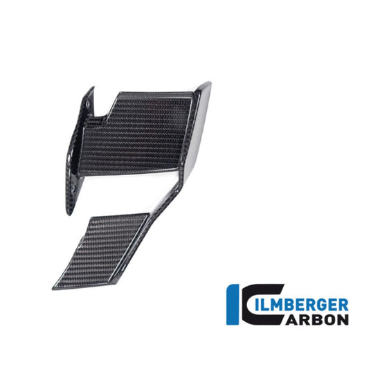 Aileron Latéral Gauche en Carbone ILMBERGER | BMW M 1000 R (2025+)