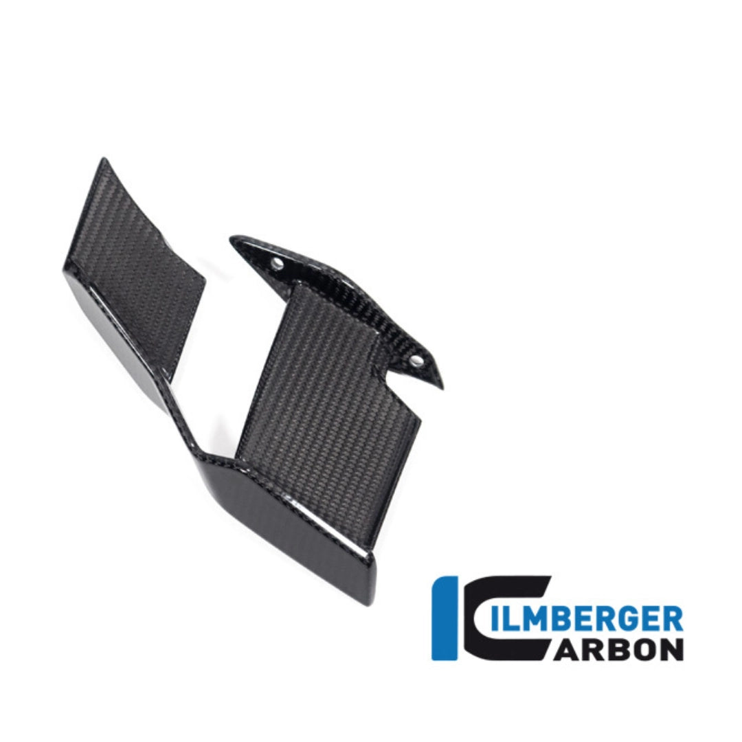 Aileron Latéral Gauche en Carbone ILMBERGER | BMW M 1000 R (2025+)