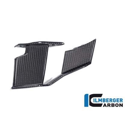 Aileron Latéral Droit en Carbone ILMBERGER | BMW M 1000 R (2025+)
