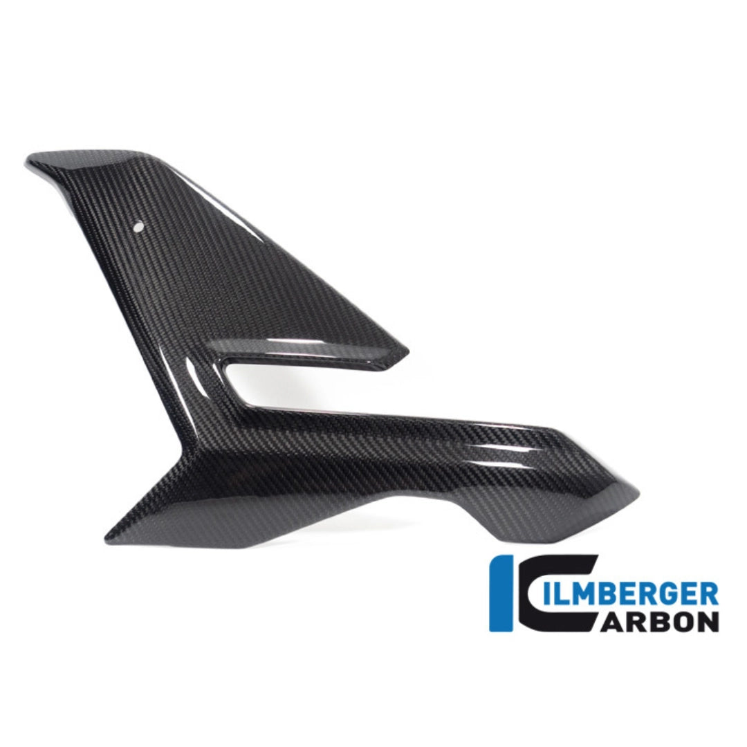 Carénage Latéral Gauche en Carbone ILMBERGER | BMW M 1000 R (2025+)