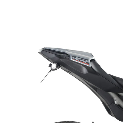 Support de Plaque Court R&G | BMW S1000R (2025+)